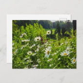 Bloemen Briefkaart (Voorkant / Achterkant)