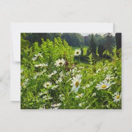 Bloemen Briefkaart