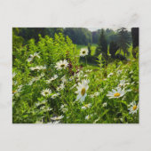 Bloemen Briefkaart (Voorkant)