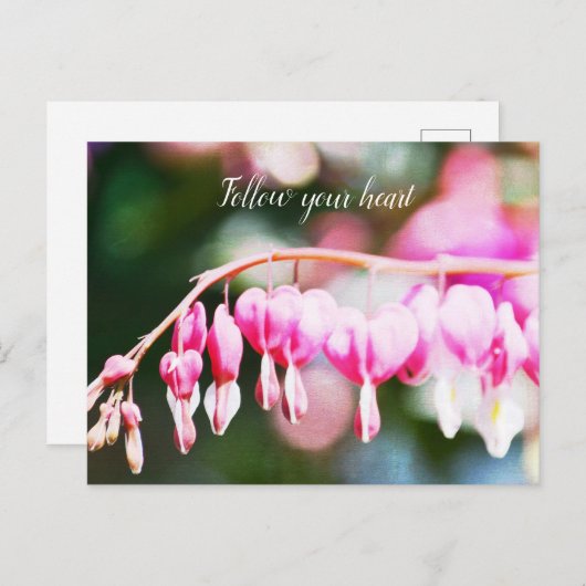 Bloemen Briefkaart (Voorkant / Achterkant)