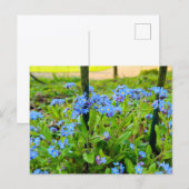 Bloemen Briefkaart (Voorkant / Achterkant)