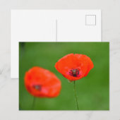 Bloemen Briefkaart (Voorkant / Achterkant)