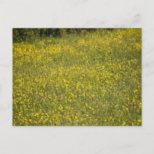 Bloemen Briefkaart