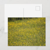 Bloemen Briefkaart (Voorkant / Achterkant)