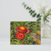 Bloemen Briefkaart (Staand voorkant)