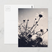 Bloemen Briefkaart (Voorkant / Achterkant)