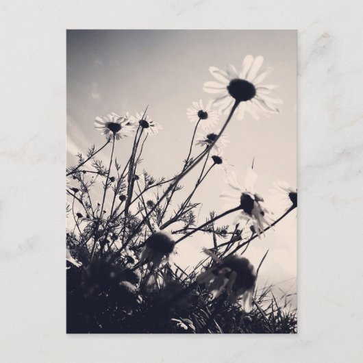 Bloemen Briefkaart (Voorkant)