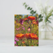 Bloemen Briefkaart (Staand voorkant)
