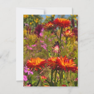 Bloemen Briefkaart