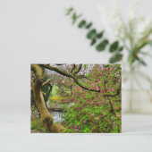 Bloemen Briefkaart (Staand voorkant)