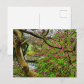 Bloemen Briefkaart (Voorkant / Achterkant)