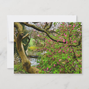 Bloemen Briefkaart