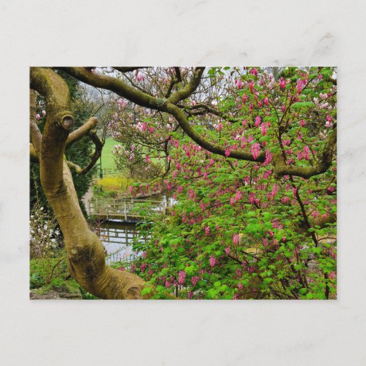 Bloemen Briefkaart (Voorkant)