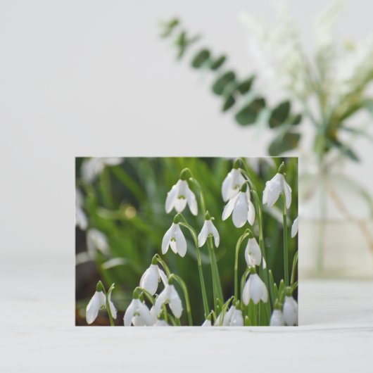 Bloemen Briefkaart (Staand voorkant)