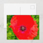 Bloemen Briefkaart (Voorkant / Achterkant)