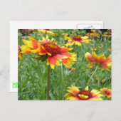 Bloemen Briefkaart (Voorkant / Achterkant)