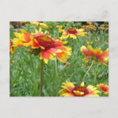 Bloemen Briefkaart (Voorkant)