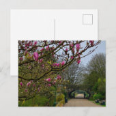 Bloemen Briefkaart (Voorkant / Achterkant)