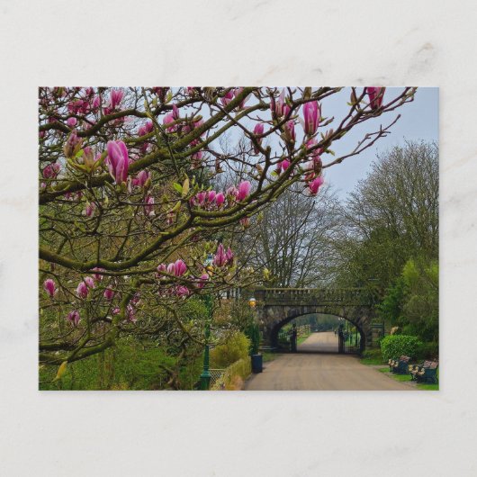 Bloemen Briefkaart (Voorkant)