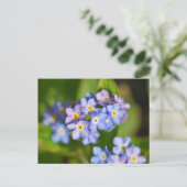 Bloemen Briefkaart (Staand voorkant)