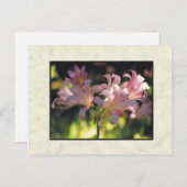 bloemen briefkaart (Voorkant / Achterkant)