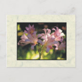 bloemen briefkaart (Voorkant)