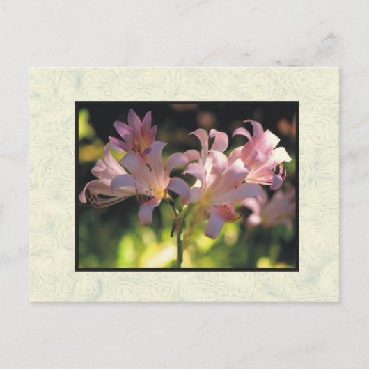 bloemen briefkaart (Voorkant)