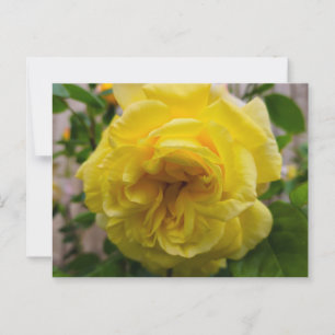 Bloemen Briefkaart