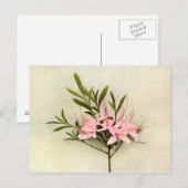  bloemen briefkaart (Voorkant / Achterkant)