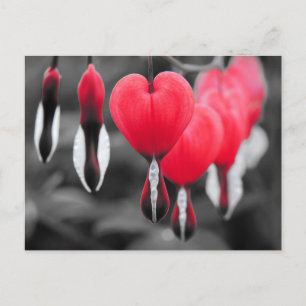 Bloemen Briefkaart