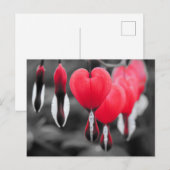 Bloemen Briefkaart (Voorkant / Achterkant)