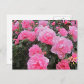 bloemen briefkaart (Voorkant / Achterkant)