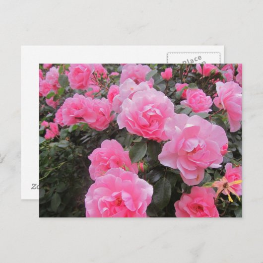 bloemen briefkaart (Voorkant / Achterkant)