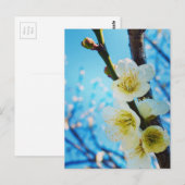 Bloemen Briefkaart (Voorkant / Achterkant)