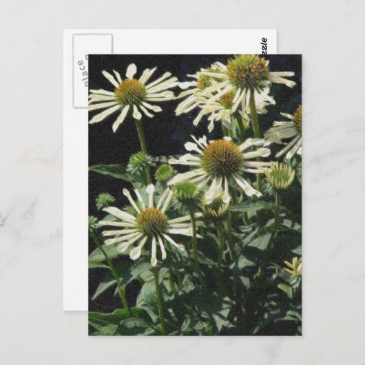  bloemen briefkaart (Voorkant / Achterkant)