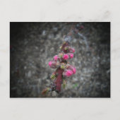 bloemen briefkaart (Voorkant)