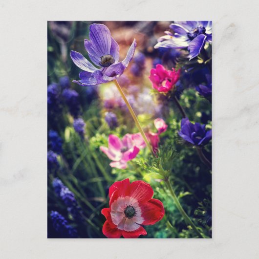 Bloemen Briefkaart (Voorkant)