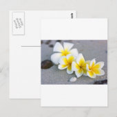 Bloemen Briefkaart (Voorkant / Achterkant)