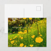Bloemen Briefkaart (Voorkant / Achterkant)