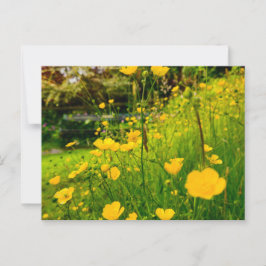 Bloemen Briefkaart