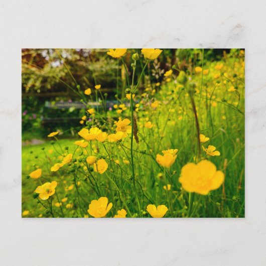 Bloemen Briefkaart (Voorkant)
