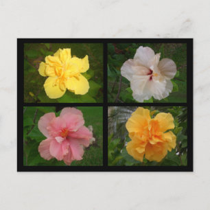 Bloemen Briefkaart