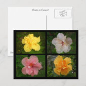 Bloemen Briefkaart (Voorkant / Achterkant)