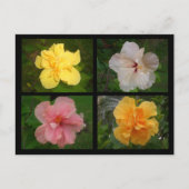 Bloemen Briefkaart (Voorkant)