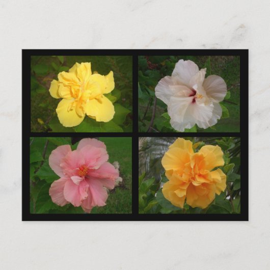 Bloemen Briefkaart (Voorkant)