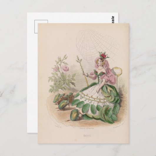 Bloemen Briefkaart (Voorkant / Achterkant)