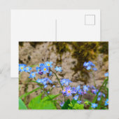 Bloemen Briefkaart (Voorkant / Achterkant)