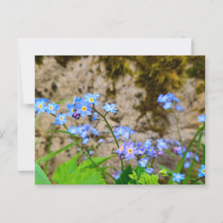 Bloemen Briefkaart