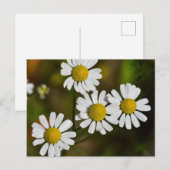 Bloemen Briefkaart (Voorkant / Achterkant)
