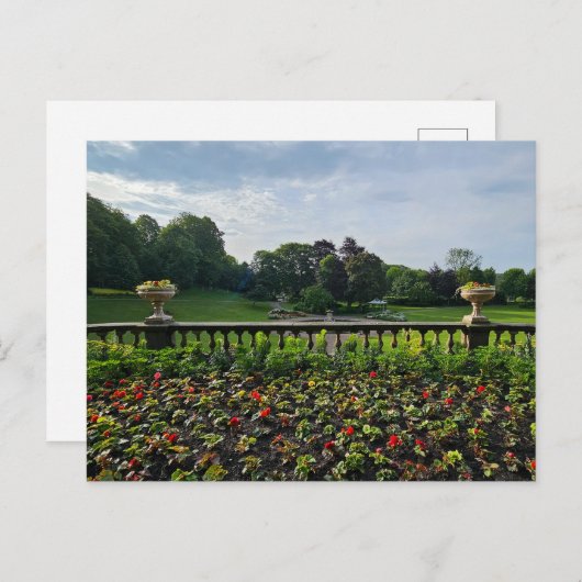 Bloemen Briefkaart (Voorkant / Achterkant)